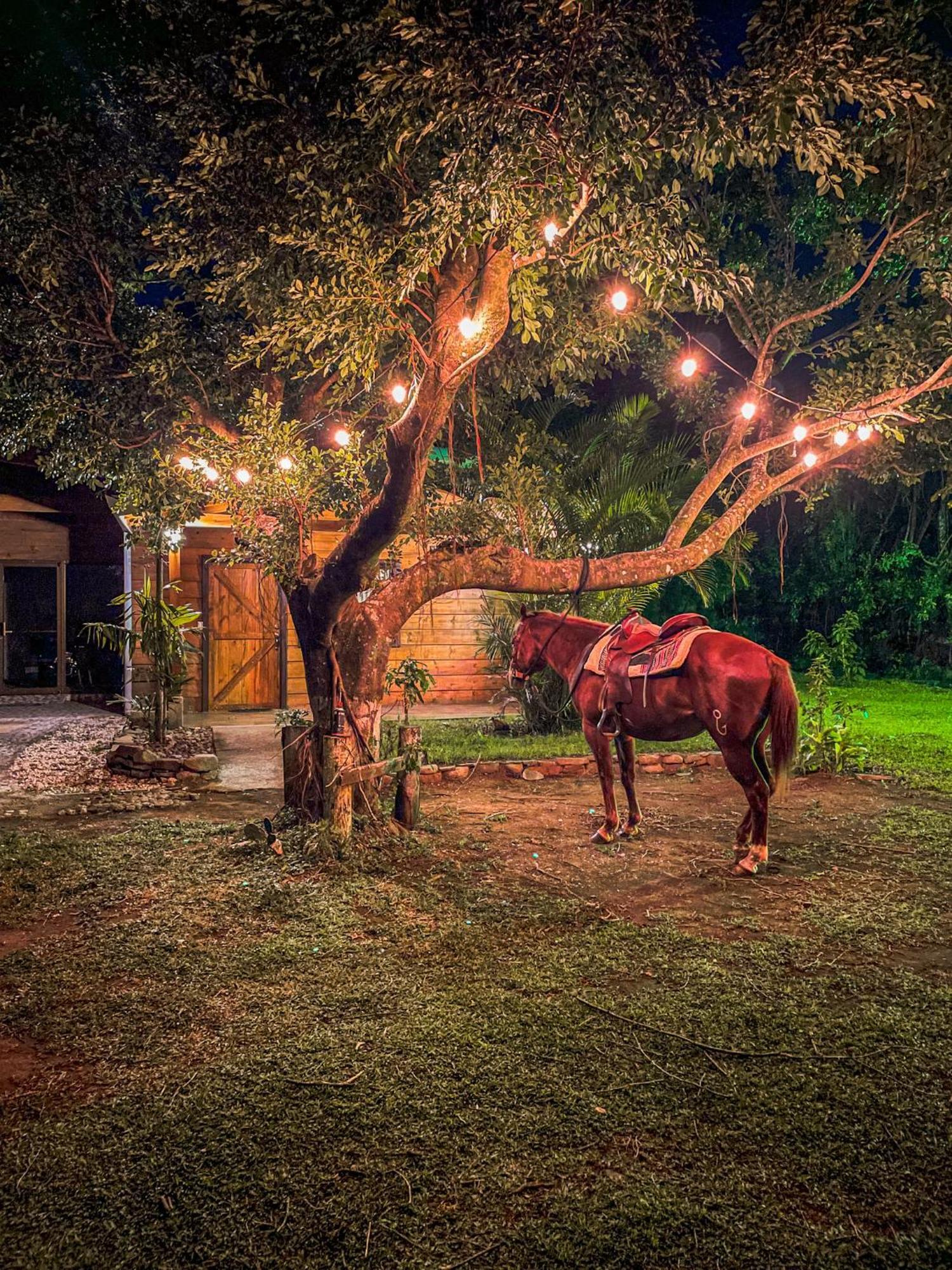 Tierra Buena Countryside Hotel الجبل الأخضر المظهر الخارجي الصورة